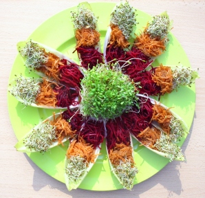 GRAINES GERMEES DIETETIQUES